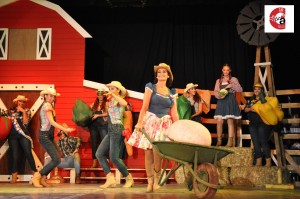Playbacks 019