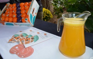 Zumo de naranja 003