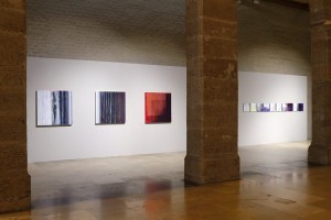 Javier Chapa 003