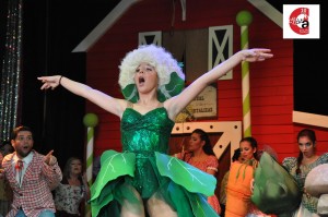 Playbacks Final 017