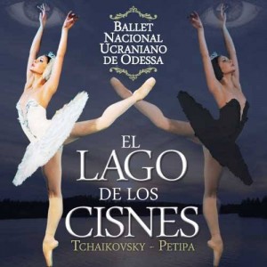 Lago Cisnes 002