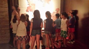 Museo 001