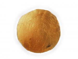 dorados 004
