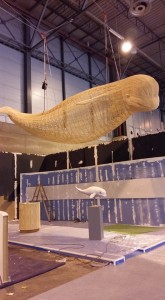 falla beluga 002