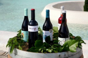 Vinos Mercado 003