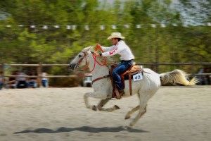 Country 003