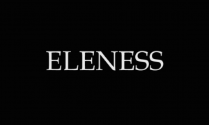 Eleness Logo