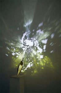 Expo Fabrizio 004