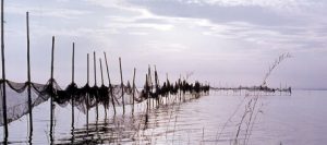 Albufera 002
