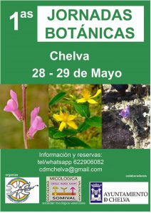 Botánica Chelva 001