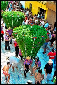 alfabegues 004